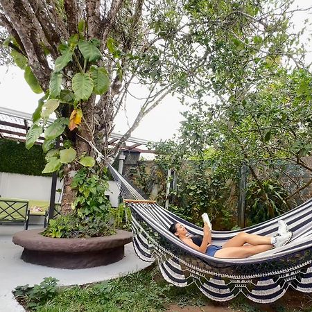 Montefresco Boutique Hostel Monteverde Ngoại thất bức ảnh