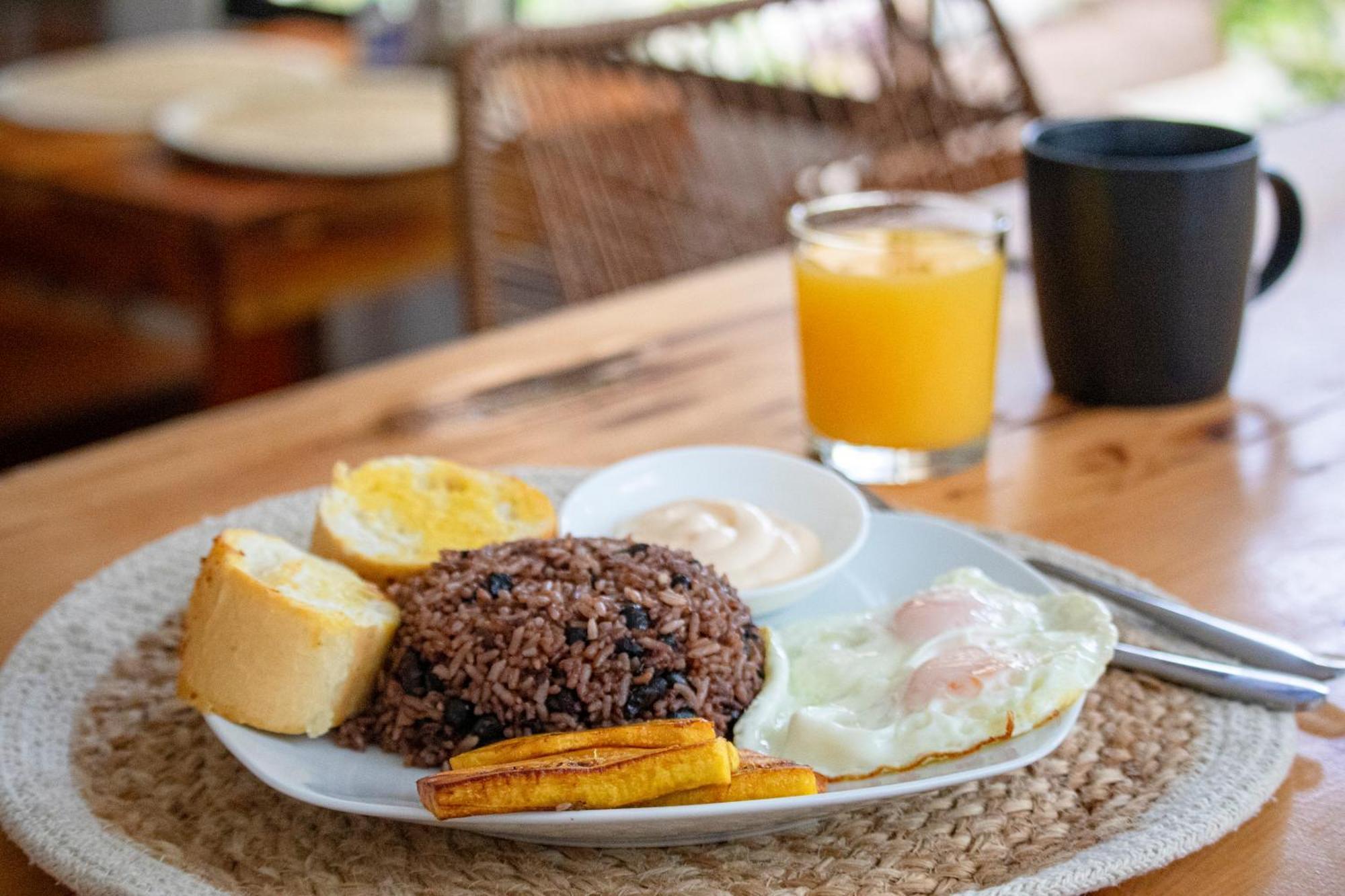 Montefresco Boutique Hostel Monteverde Ngoại thất bức ảnh